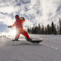 Unleashing the Thrilling Sports Scene in Salt Lake County, Utah