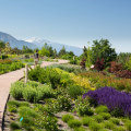 Uncovering the Magic of the Red Butte Garden Outdoor Concert Series in Salt Lake County, Utah